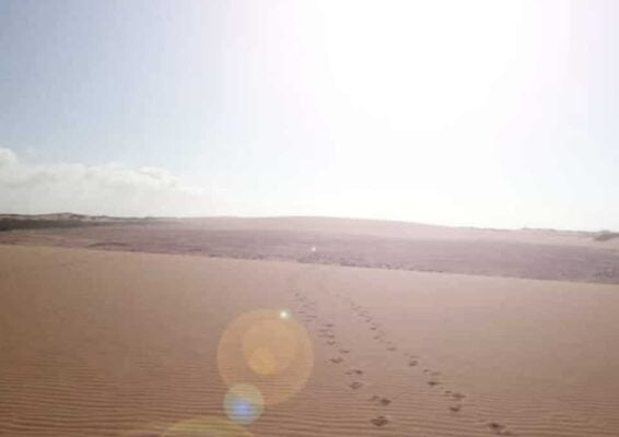 température peindre- chaleur