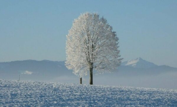 peindre lorsqu'il fait froid