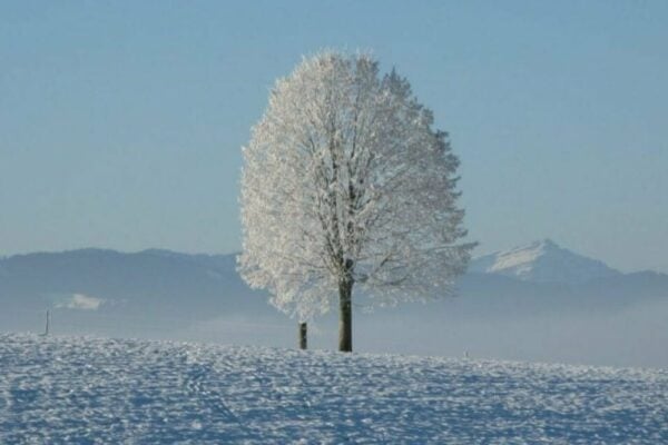 peindre lorsqu'il fait froid