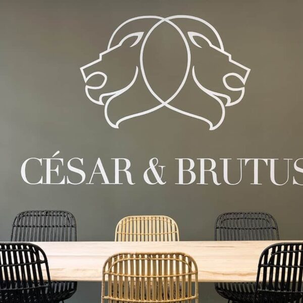 agence immobilière