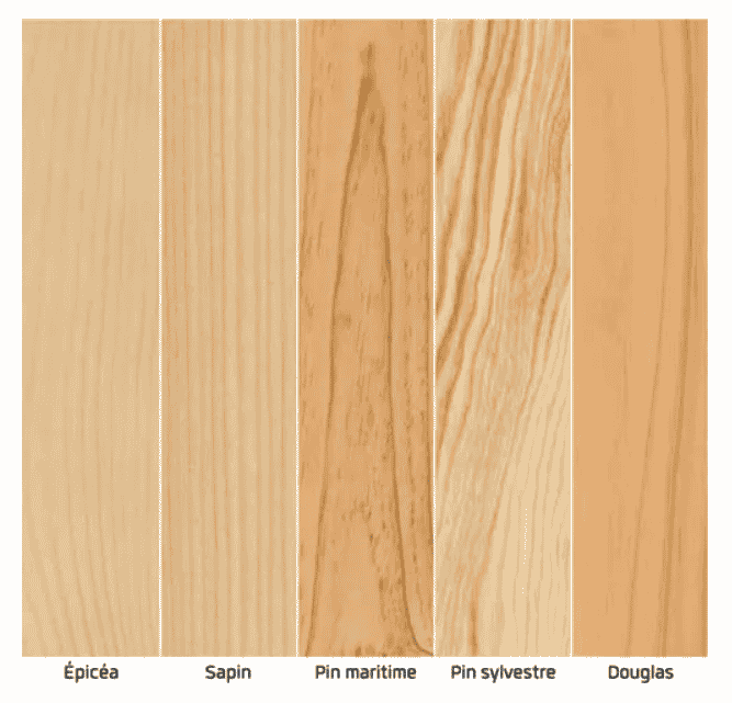 Essence de bois résineux (bourdaud)