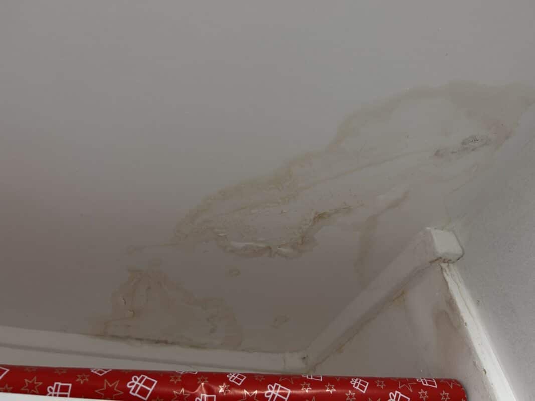 Dégât des eaux - fuite d'eau sur le plafond